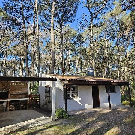 Bosque Y Playa En Jaureguiberry. Cabana Monoambiente Para 4 Personas Exterior photo
