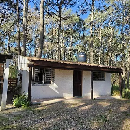 Bosque Y Playa En Jaureguiberry. Cabana Monoambiente Para 4 Personas Exterior photo