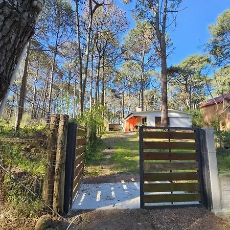 Bosque Y Playa En Jaureguiberry. Cabana Monoambiente Para 4 Personas Exterior photo