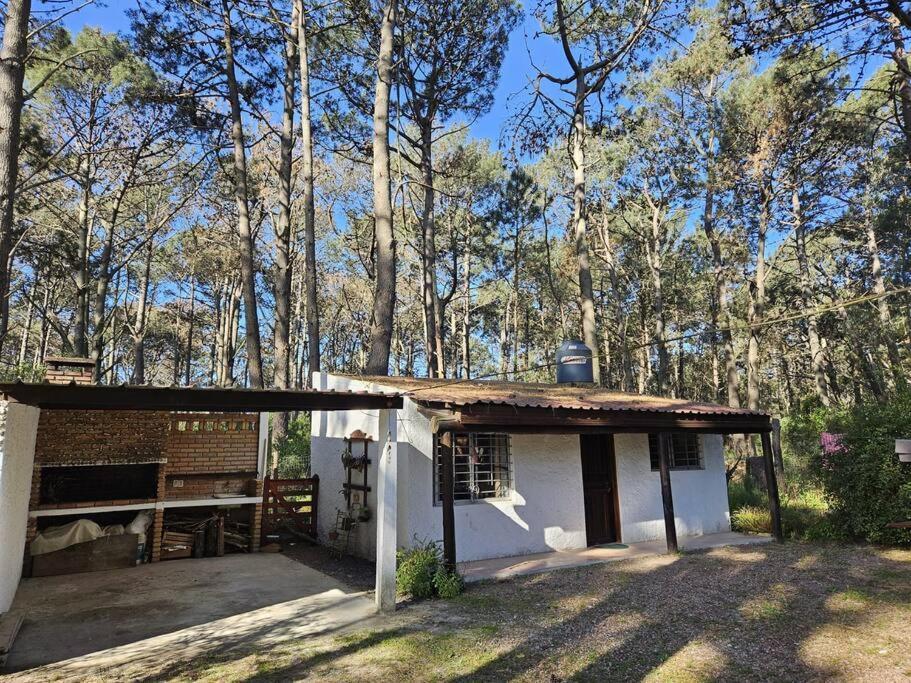 Bosque Y Playa En Jaureguiberry. Monoambiente 4 Personas Holiday home *