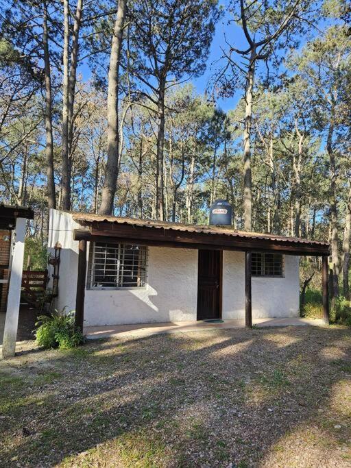 Bosque Y Playa En Jaureguiberry. Monoambiente 4 Personas